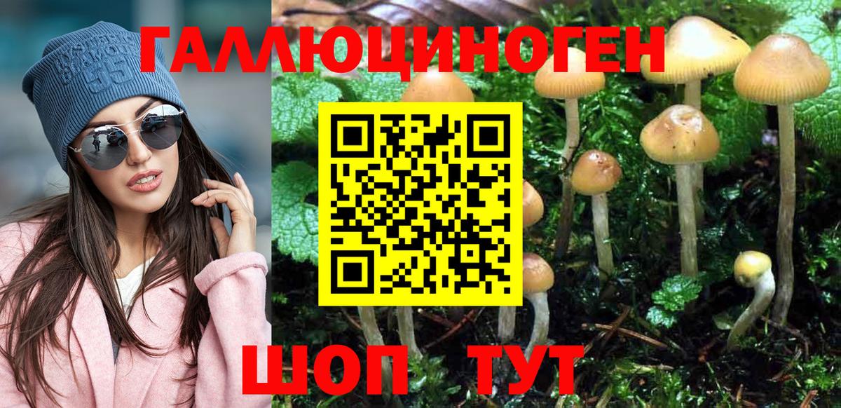 Галлюциногенные грибы Psilocybine cubensis  Вход с VPN  Нефтекумск 