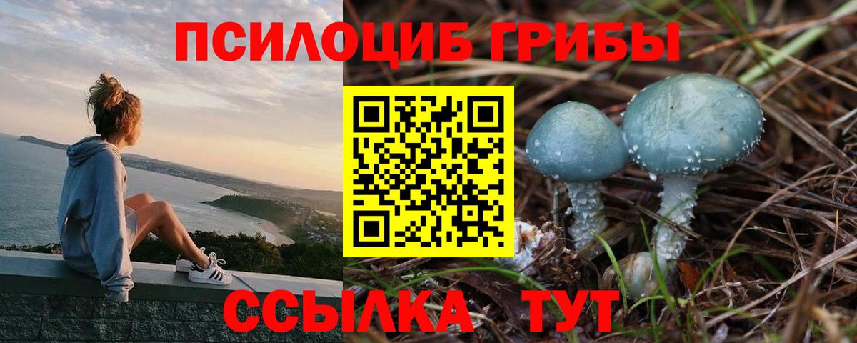 Псилоцибиновые грибы Cubensis Нефтекумск